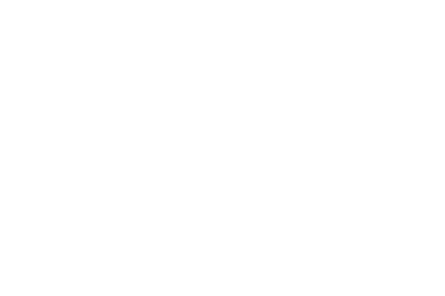 Friendly Support Limited